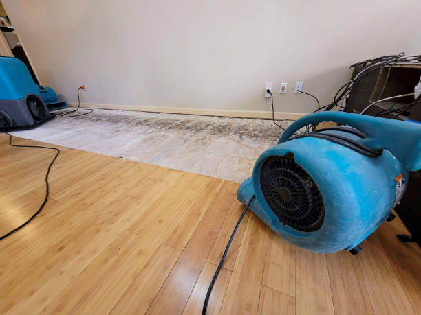 Professional Burst Pipe Water Damage technician working in Bells, TX